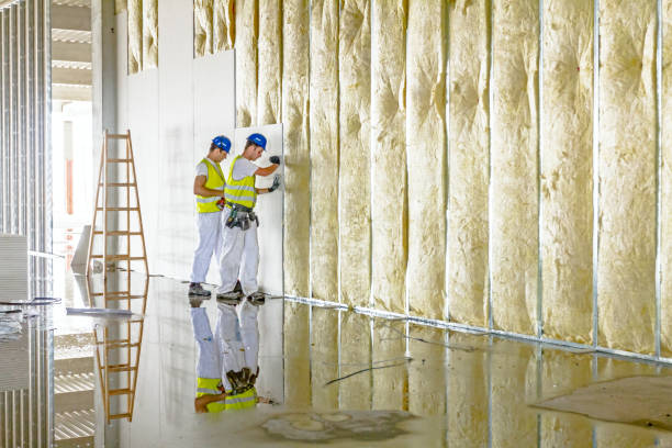 Best Insulation Maintenance and Repair in Four Oaks, NC